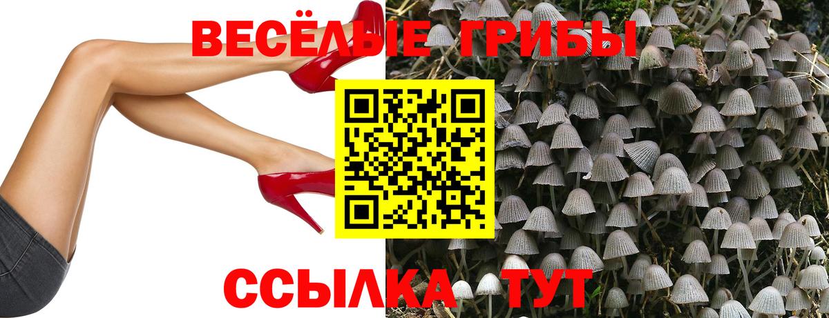 Новоалександровск  Псилоцибиновые грибы мицелий  Вход с VPN 