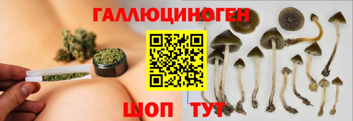 Псилоцибиновые грибы MAGIC MUSHROOMS Новоалександровск